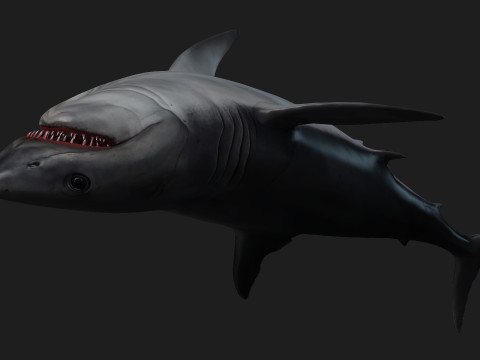 Shark-A1 3D 模型