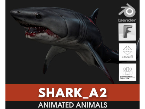 Shark-A2 3D Model