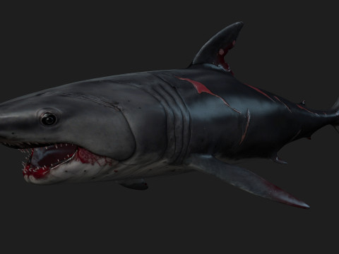 Shark-A2 3D मॉडल