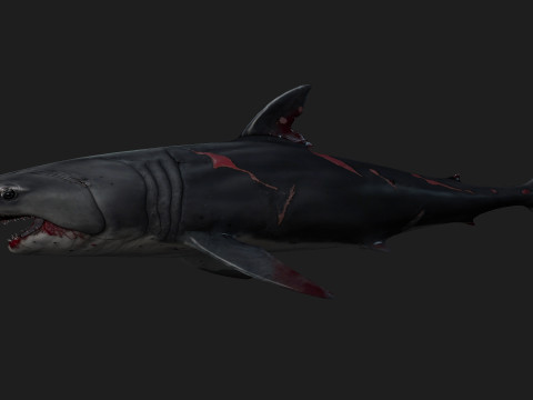Shark-A2 3D मॉडल