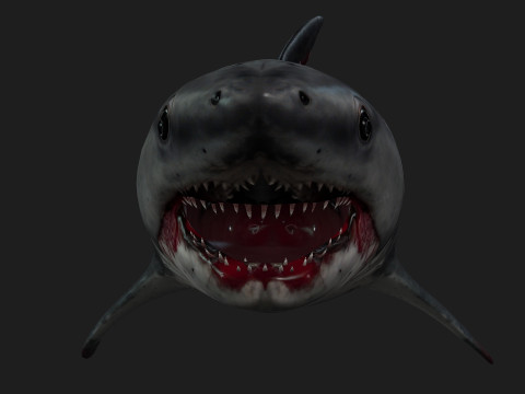 Shark-A2 3D मॉडल