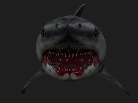 Shark-A2 3D Model