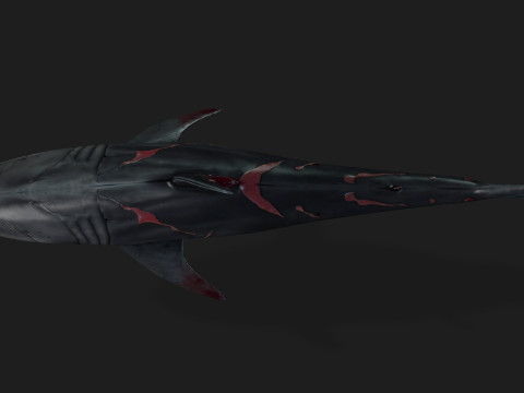 Shark-A2 3D मॉडल