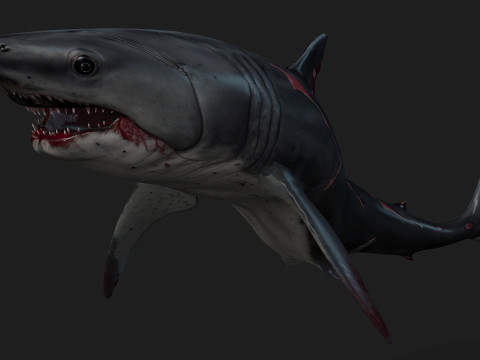 Shark-A2 3D मॉडल