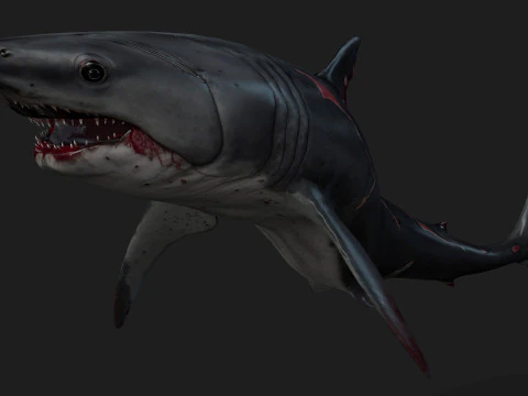 Shark-A2 3D Model