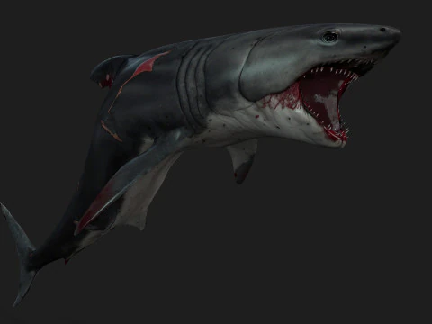 Shark-A2 3D Model