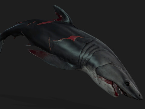 Shark-A2 3D मॉडल