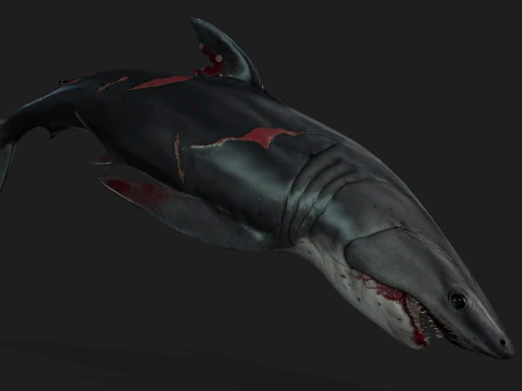 Shark-A2 3D Model