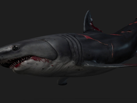 Shark-A2 3D मॉडल