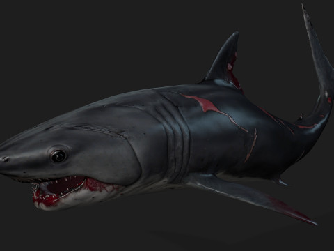 Shark-A2 3D मॉडल