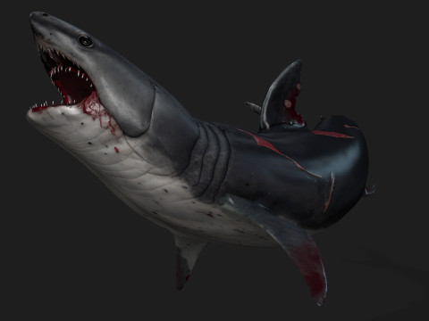 Shark-A2 3D मॉडल
