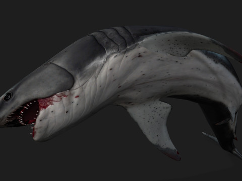 Shark-A2 3D मॉडल