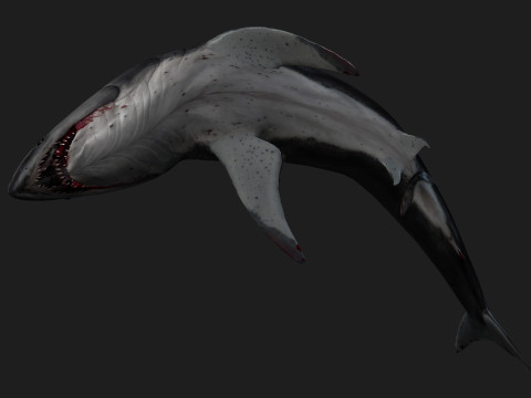 Shark-A2 3D मॉडल