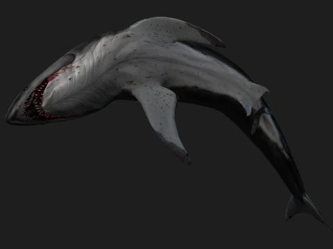 Shark-A2 3D Model
