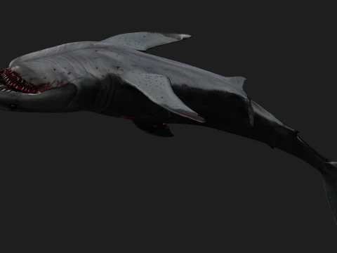 Shark-A2 3D Model