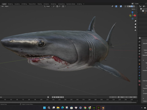 Shark-A2 3D मॉडल