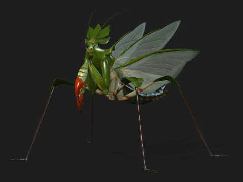 Bidsprinkhaan-A1 3D Model