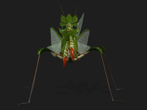 Mantis-A1 3D Model