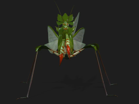 Bidsprinkhaan-A1 3D Model