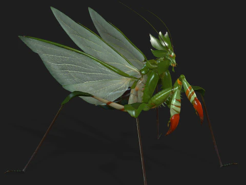 Bidsprinkhaan-A1 3D Model