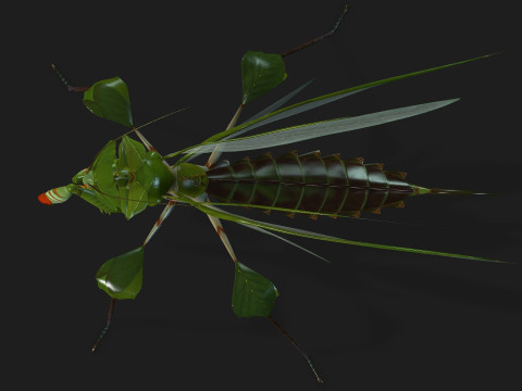 Mantis-A1 3D Model