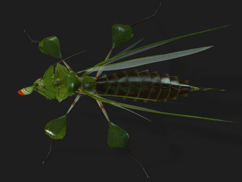 Bidsprinkhaan-A1 3D Model