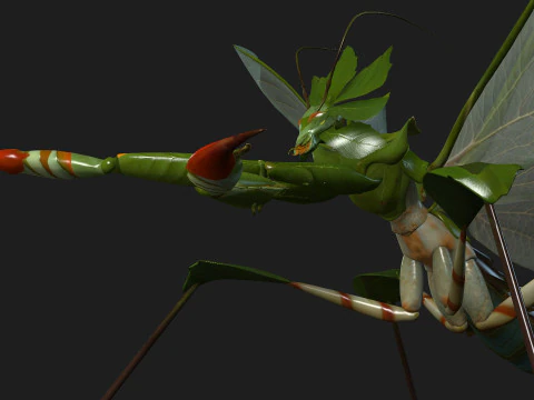 Bidsprinkhaan-A1 3D Model