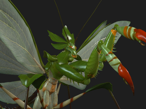 Mantis-A1 3D Model