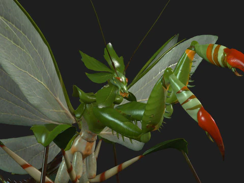 Bidsprinkhaan-A1 3D Model