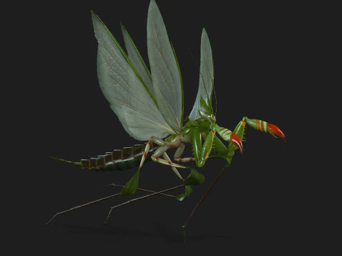 Bidsprinkhaan-A1 3D Model