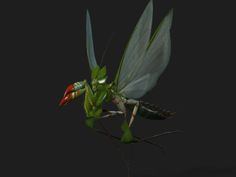 Bidsprinkhaan-A1 3D Model