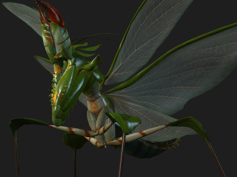 Mantis-A1 3D Model