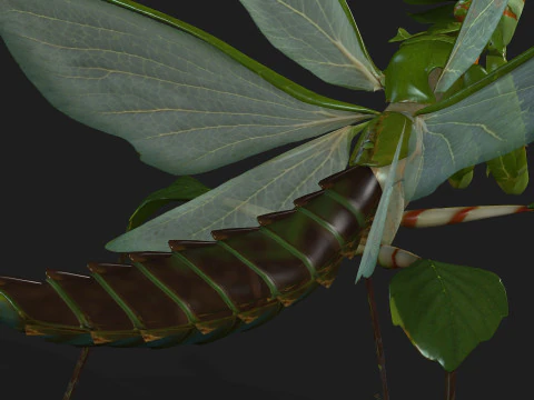 Bidsprinkhaan-A1 3D Model