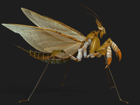 Mantis-A2 3D Model