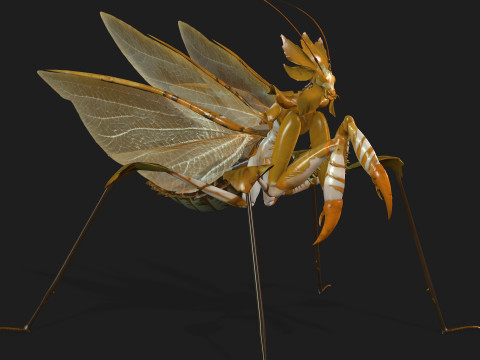 Mantis-A2 3D Model