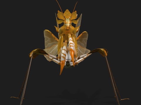 Mantis-A2 3D Model