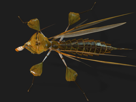Mantis-A2 3D Model