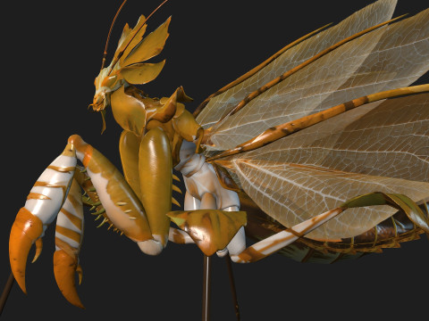 Mantis-A2 3D Model