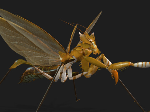 Mantis-A2 3D Model