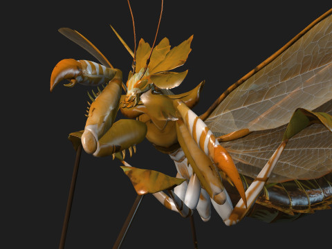Mantis-A2 3D Model