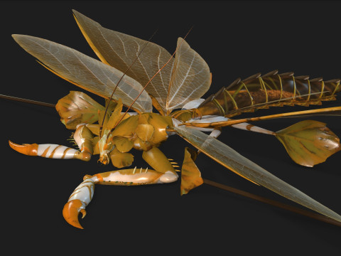 Mantis-A2 3D Model