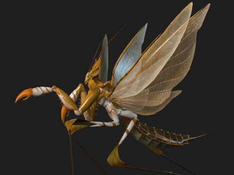Mantis-A2 3D Model