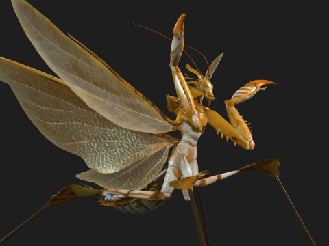 Mantis-A2 3D Model