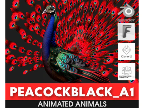 Pavone Nero-A1 Modello 3D