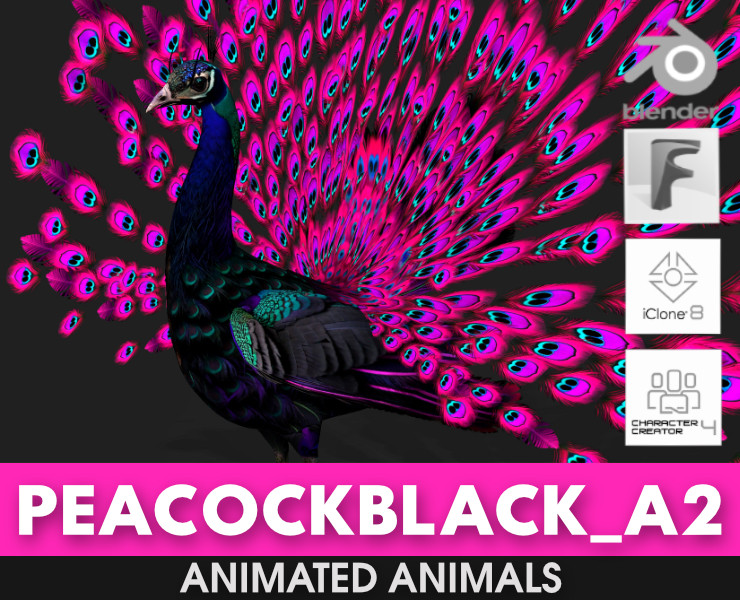 Peacock Black-A2 Modelo 3D .c4d .max .obj .3ds .fbx .stl .blend