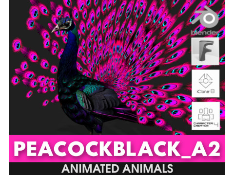 Peacock Black-A2 3D Модель