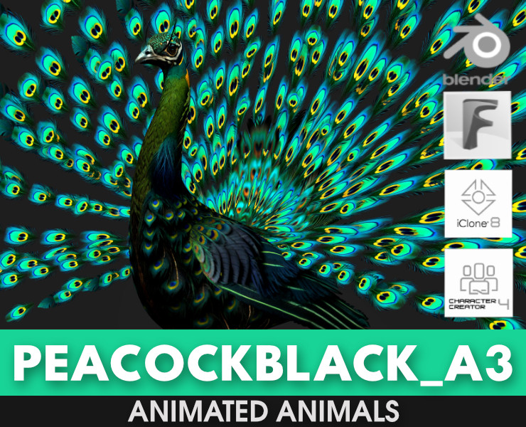 Peacock Black-A3 Modelo 3D .c4d .max .obj .3ds .fbx .stl .blend