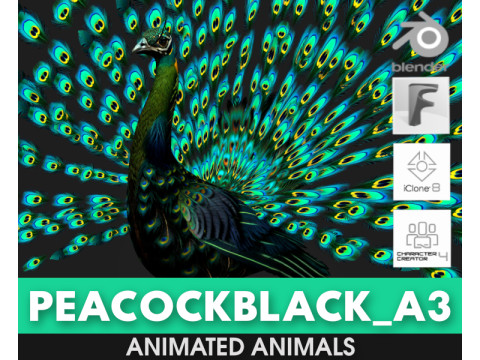 Peacock Black-A3 3D-Modell