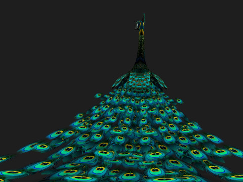 Peacock Black-A3 Modelo 3D