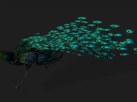 ピーコックブラック-A3 3Dモデル